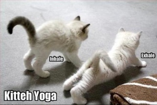 KITTEH YOGA