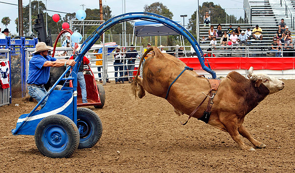 orange county fair