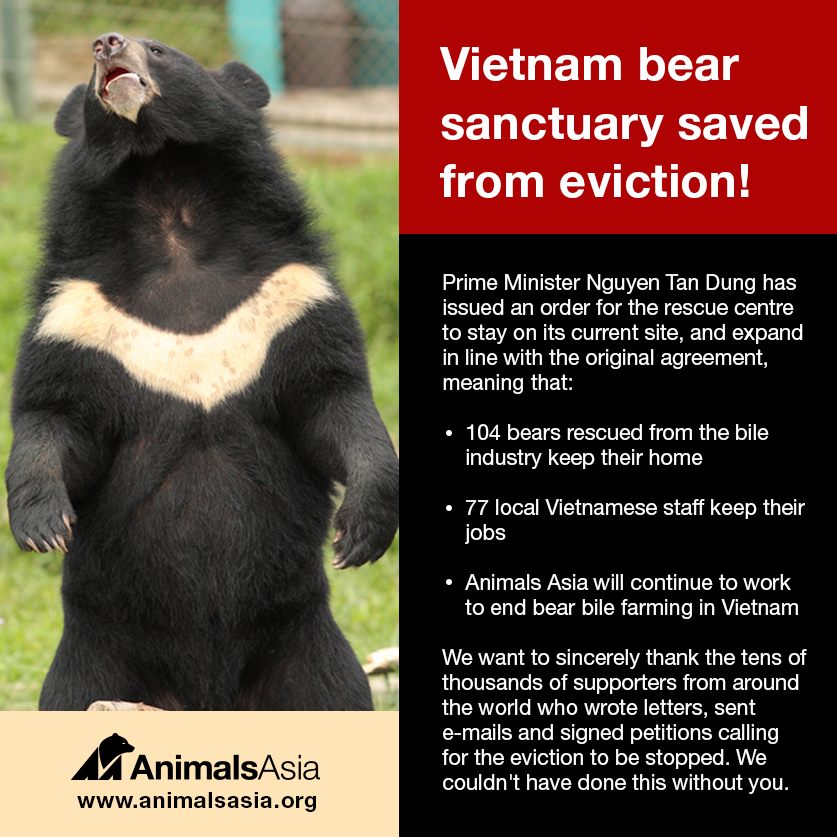 Bear Sanctuary Saved