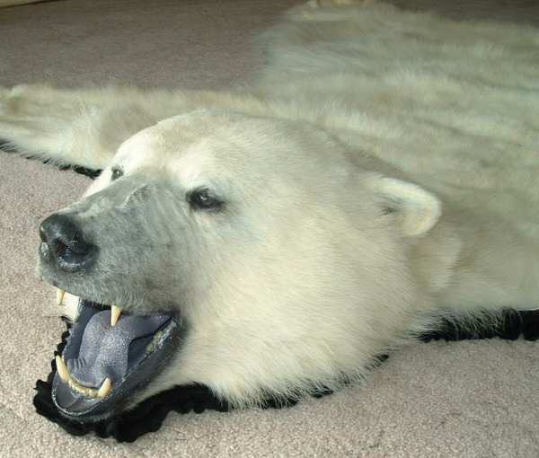 POLAR BEAR RUG