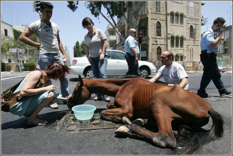 ABANDONNED - ISRAEL