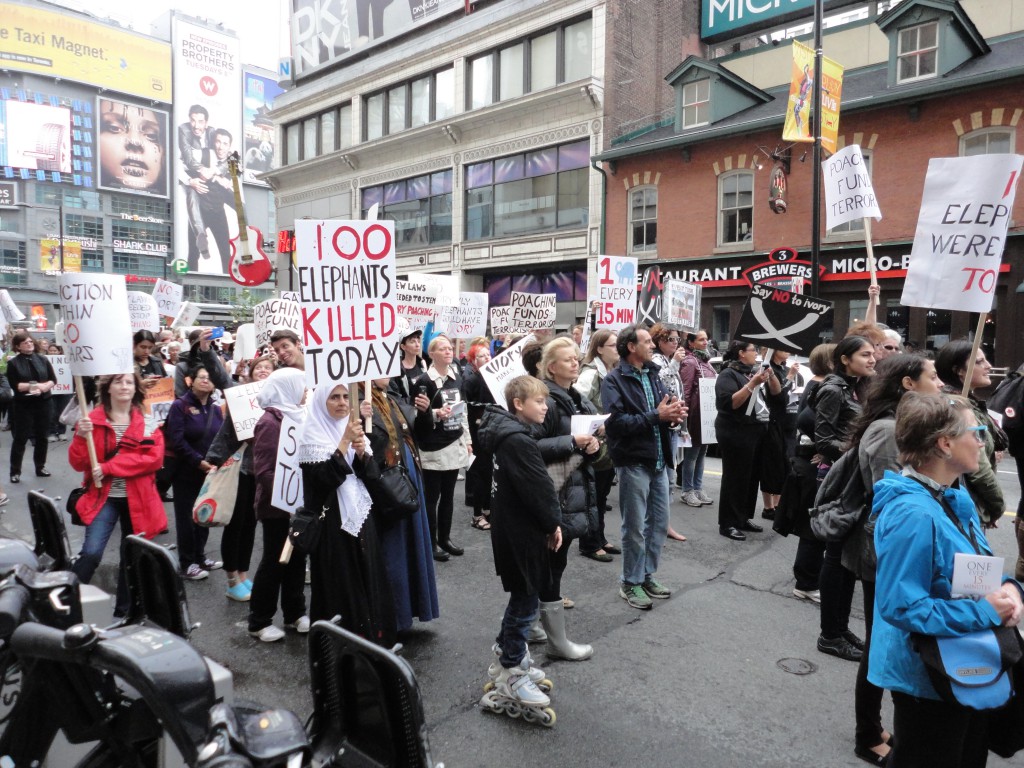 ELIE MARCH - YONGE STREET