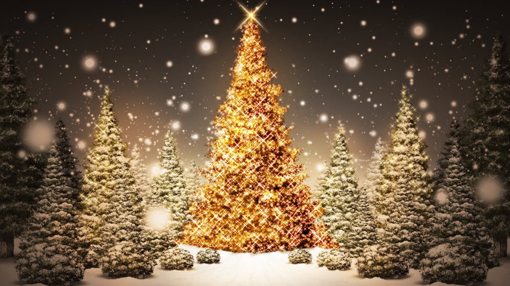 CHRISTMAS TREES