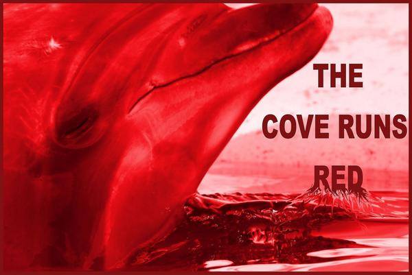 Zoom ind ubetalt Korn The Water Runs Red At Taiji CoveCreating Animal Awareness