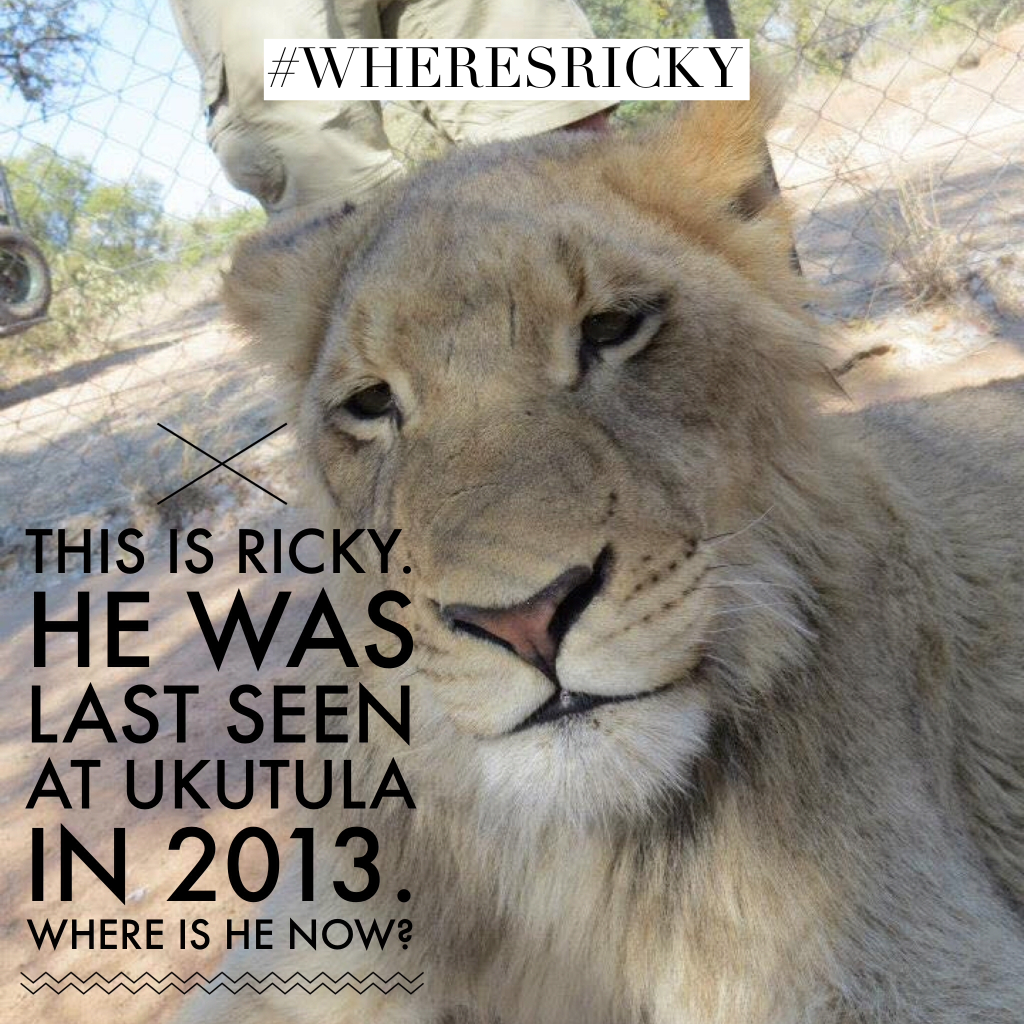 RICKY - LAST SEEN