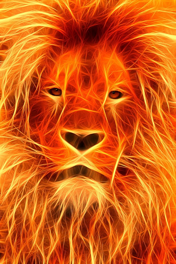 LION - FIRE - MESSAGE 2