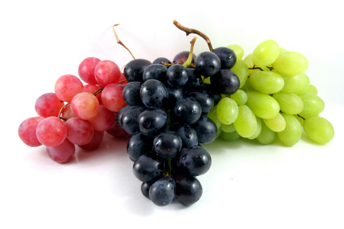 FOOD - GRAPES