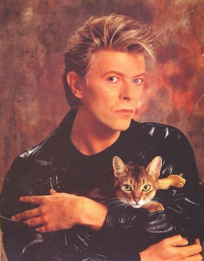 DAVID BOWIE 10