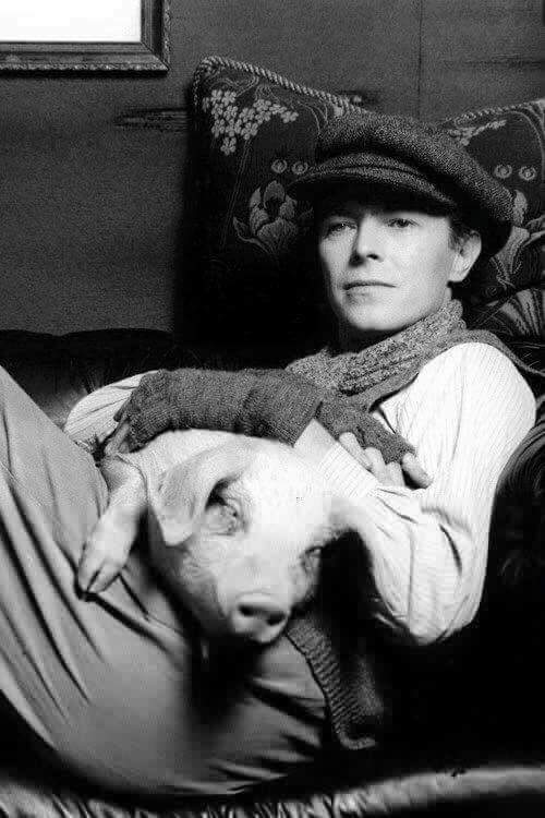 DAVID BOWIE 11